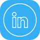 LinkedIn Icon-1