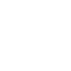 PHPSentact Logo White Stacked (1)